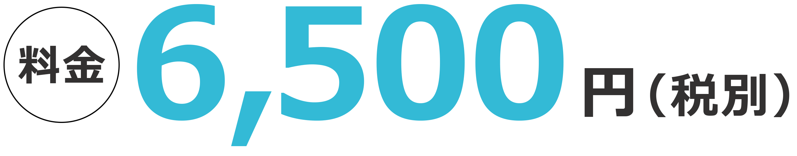 料金5000円(税込)